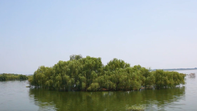 果然视频|人人都为蒙阴好：云蒙湖上护水人