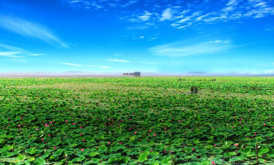 总结创5a经验做靓微山湖旅游区品牌