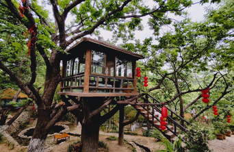 山更绿、日子更红，生态产品价值可变现让蒙阴县富民增收