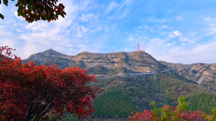 果然视频·拾光记丨绿水青山焕新颜预告片：一片山的十年巨变