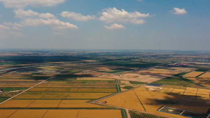 果然视频·拾光记丨家乡有座新绿洲