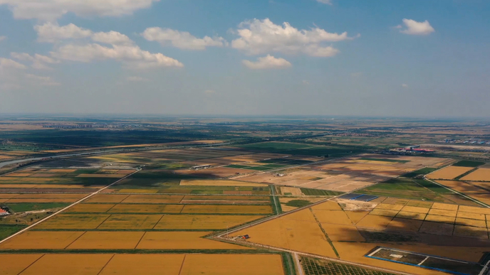 果然视频丨昔日“十年九不收”的盐碱地，如今硕果累累