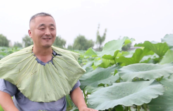 拾光记|黄河水乡蓑衣樊：十年乡旅追梦路，绘就荷塘月色图