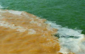 “颂歌献给母亲河”诗歌征文评选二等奖获奖作品展示