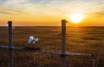 “颂歌献给母亲河”诗歌征文评选三等奖作品展示（上）