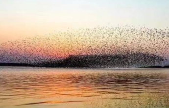 “颂歌献给母亲河”诗歌征文评选三等奖作品展示（下）