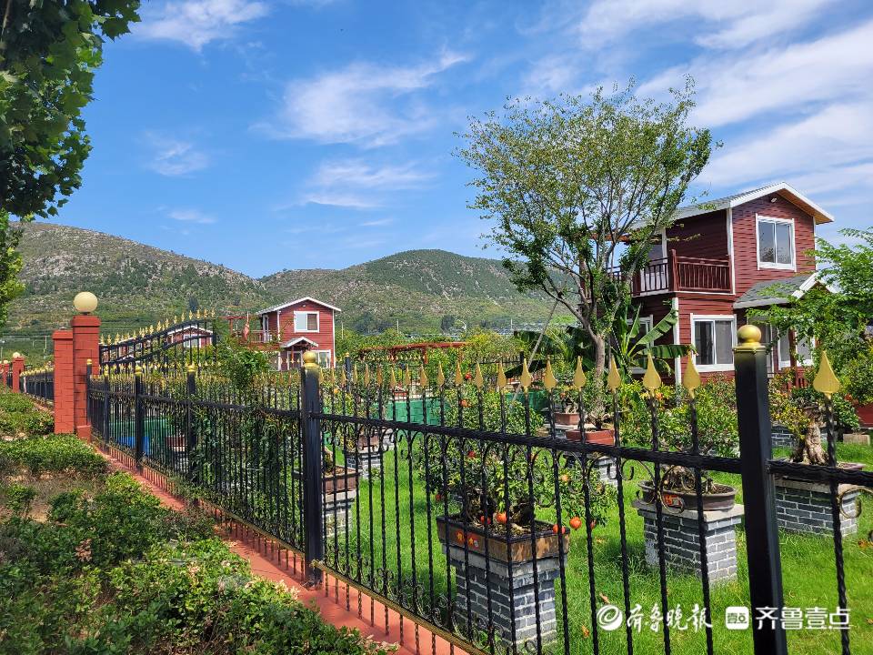 非凡十年|"小石榴"成"大产业" 希望在峄城富农兴村的榴园里