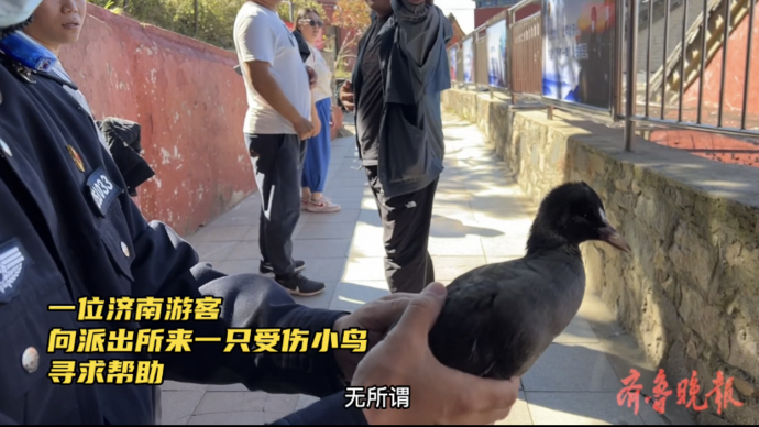 果然视频丨 14年坚守，岱顶派出所张连波勇做警界“挑山工”