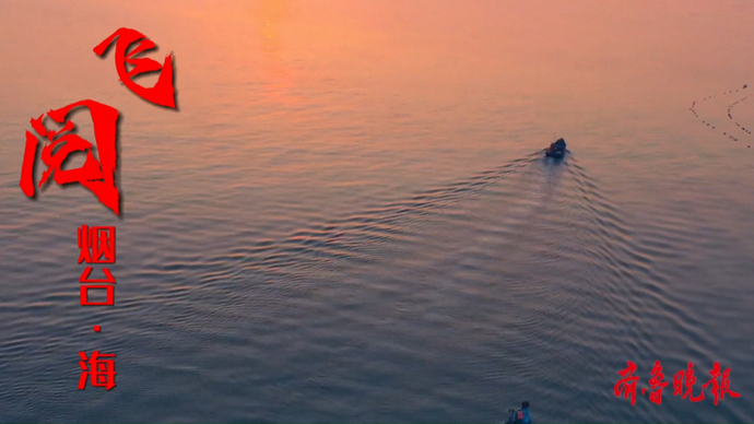 果然视频|飞阅烟台·海