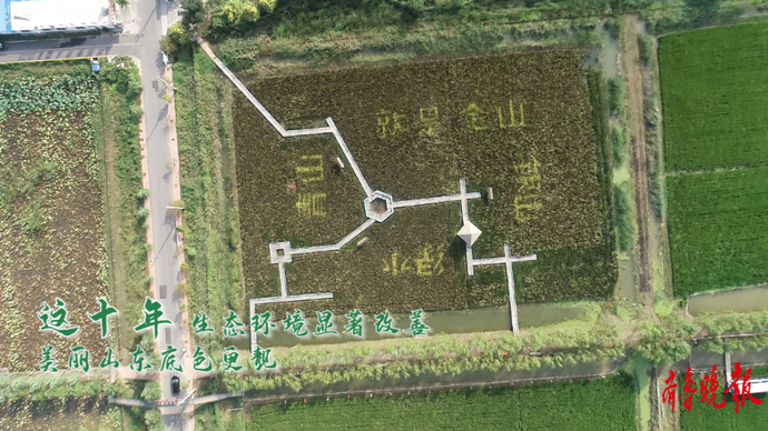 果然视频|国庆色彩之生态绿