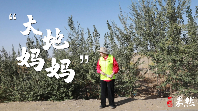 果然视频|家国梦：20年在沙漠种下千万棵树，易解放背后的故事