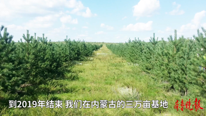 果然视频|从内蒙古到敦煌，易解放在沙漠种树千万棵