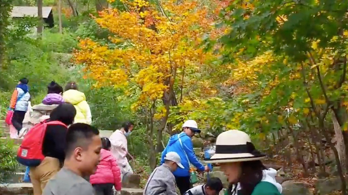 果然视频|暴雨将济南南山变水世界，红叶瀑布构成最美秋景  