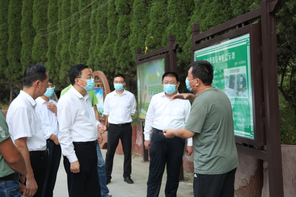 邹平市自然资源和规划局:推深做实林长制,筑牢绿色发展根基 - 海报