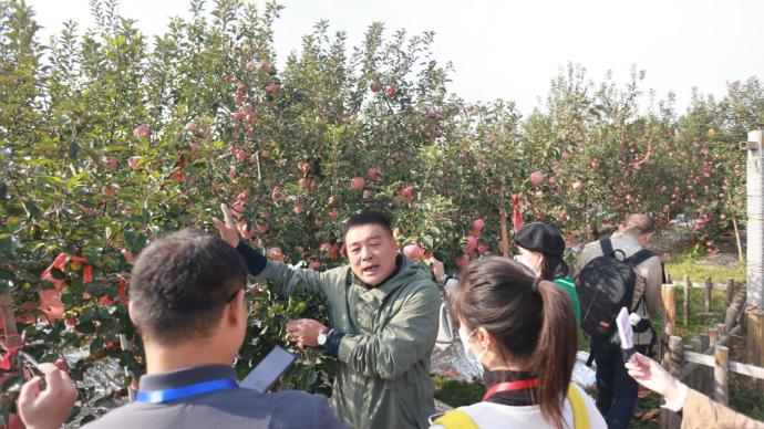 果然视频|邂逅北纬37°仙果！省内主流媒体烟台融媒行活动开始