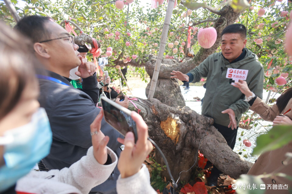 壹点图集|苹果界“老祖宗”138岁！引省内主流媒体来烟台打卡