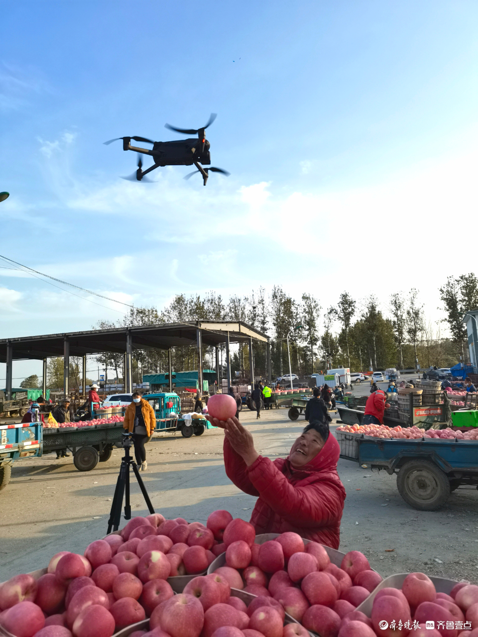 壹点图集|无人机航拍烟台栖霞苹果交易市场，果农“秀”出大苹果