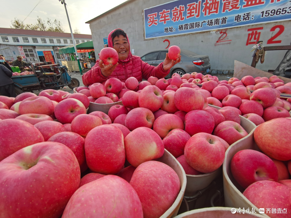 壹点图集|无人机航拍烟台栖霞苹果交易市场，果农“秀”出大苹果