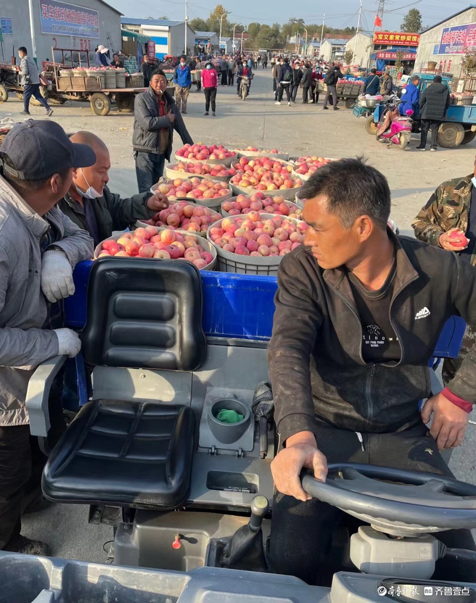壹点图集|无人机航拍烟台栖霞苹果交易市场，果农“秀”出大苹果