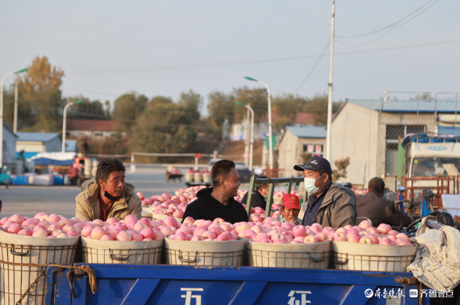 壹点图集|无人机航拍烟台栖霞苹果交易市场，果农“秀”出大苹果