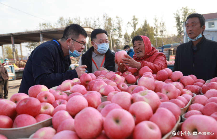 壹点图集|无人机航拍烟台栖霞苹果交易市场，果农“秀”出大苹果