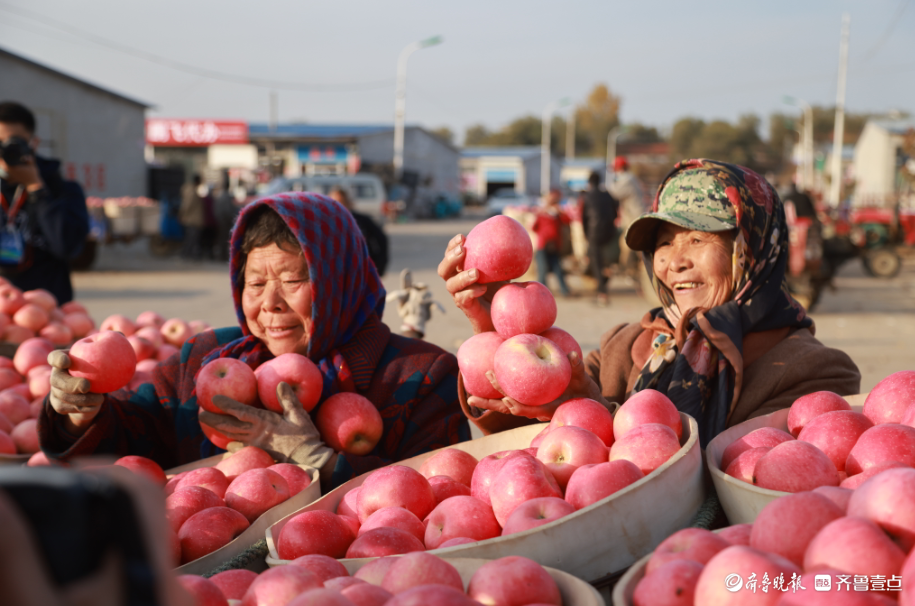 壹点图集|无人机航拍烟台栖霞苹果交易市场，果农“秀”出大苹果