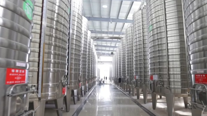 果然视频｜走进嘉桐酒庄，探访烟台苹果从好吃到好喝的“变形记”