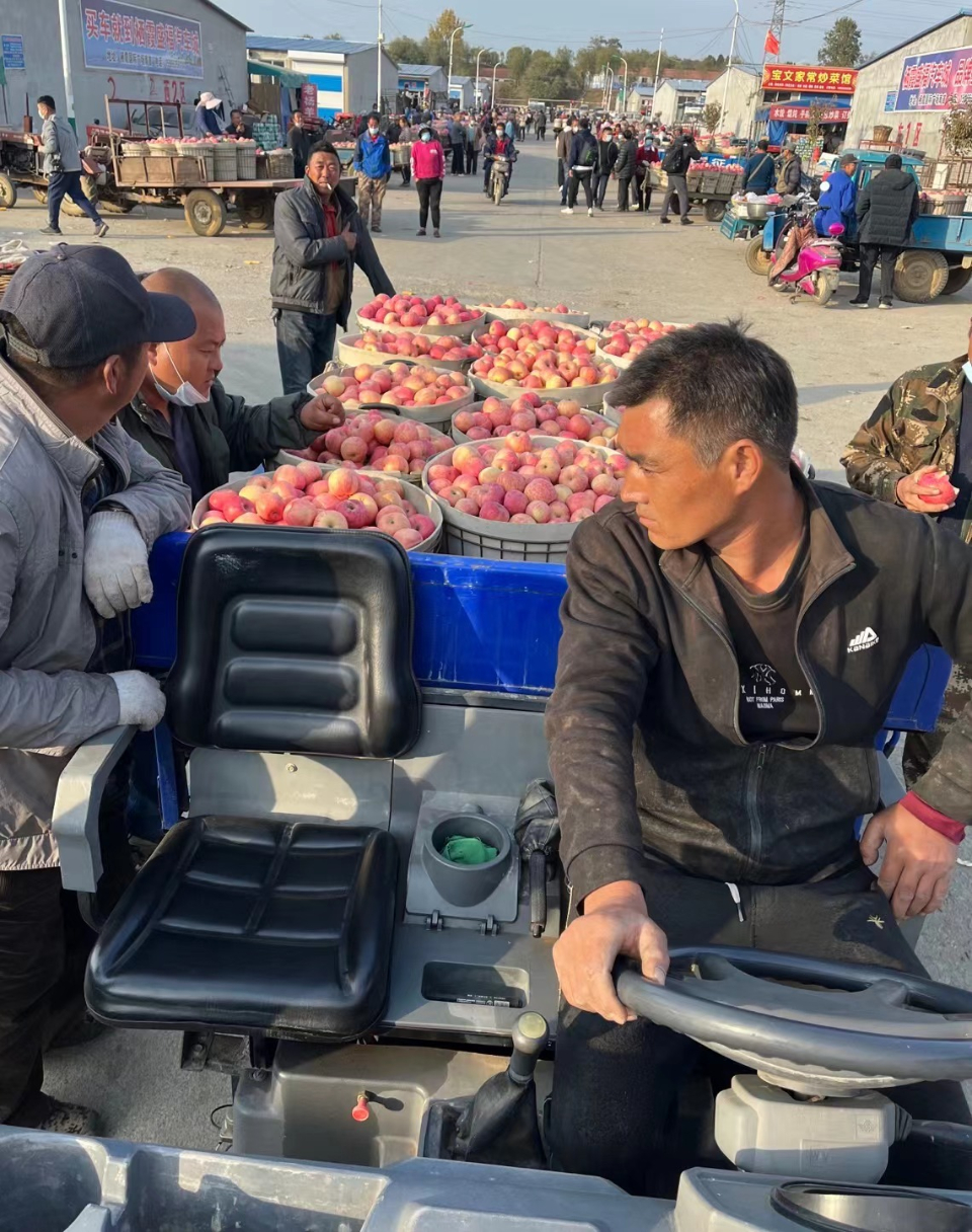 壹点图集|黝黑的脸，烟台的甜