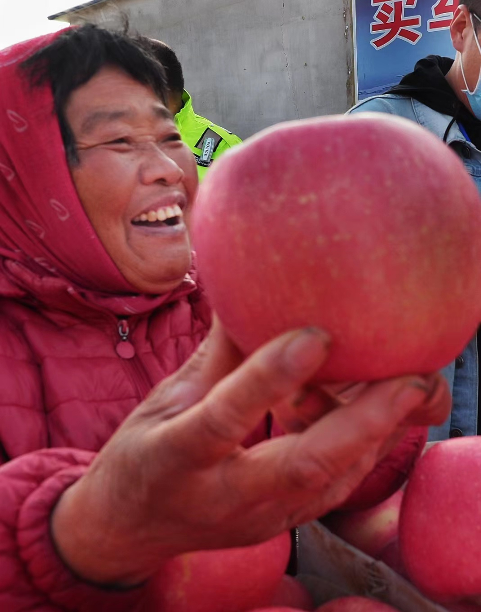 壹点图集|黝黑的脸，烟台的甜