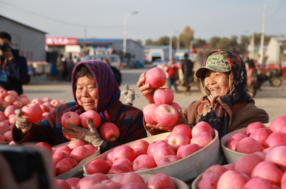 壹点图集|黝黑的脸，烟台的甜