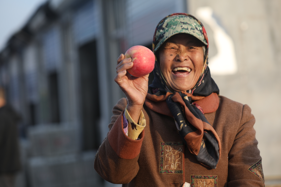 壹点图集|黝黑的脸，烟台的甜