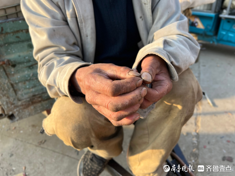 图集|茧越多，果越红