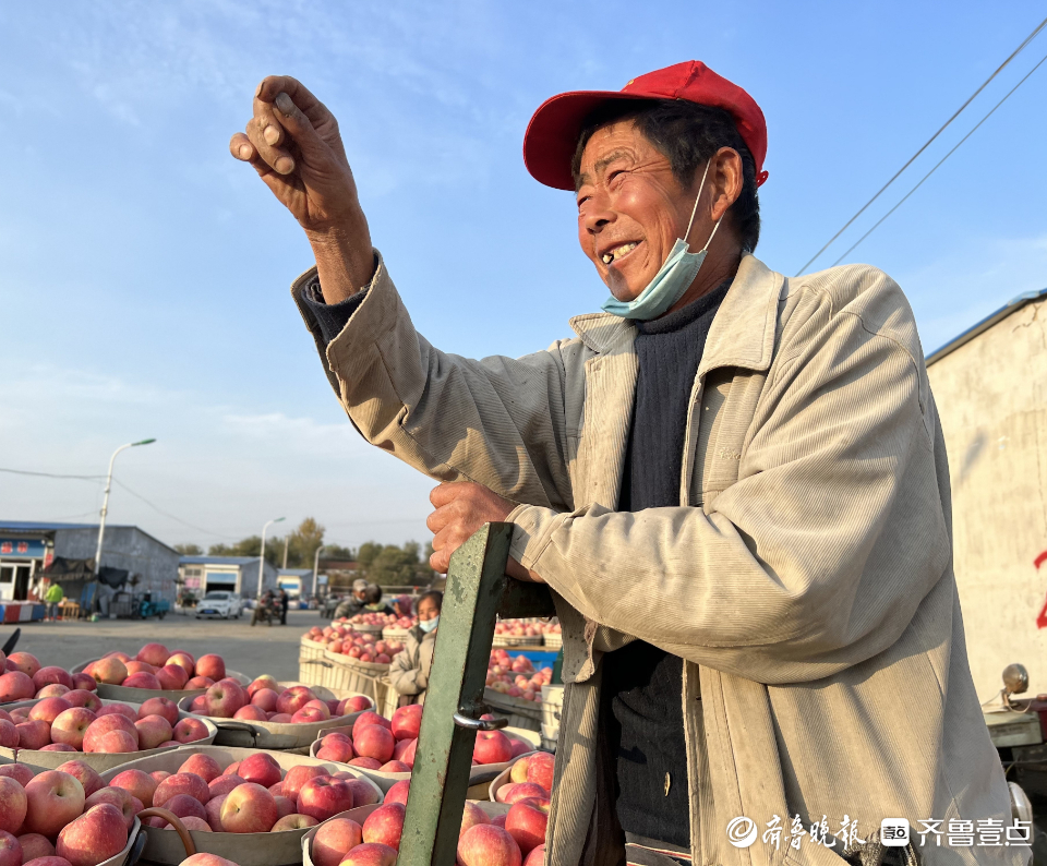 图集|茧越多，果越红