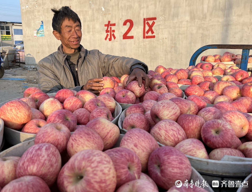 图集|茧越多，果越红