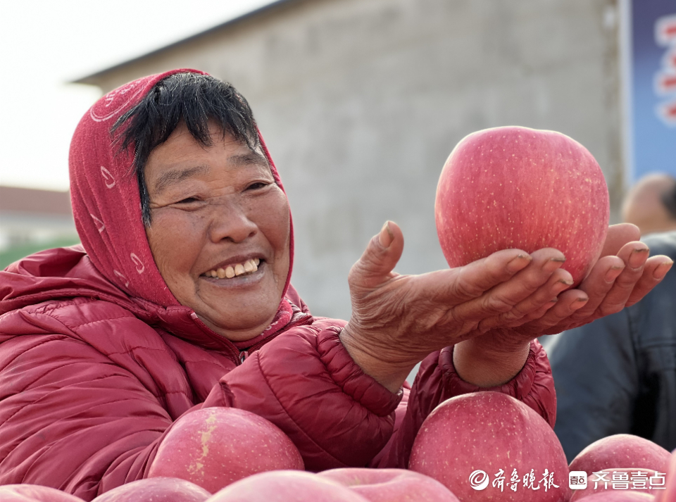 图集|茧越多，果越红