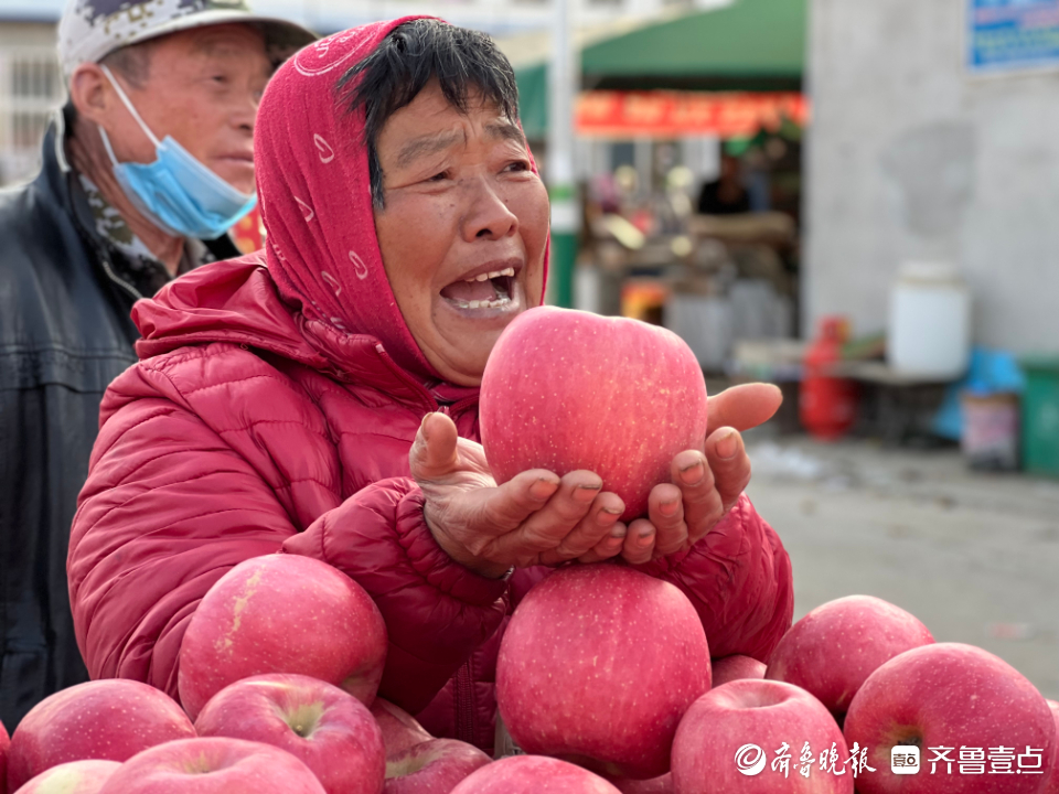 图集|茧越多，果越红