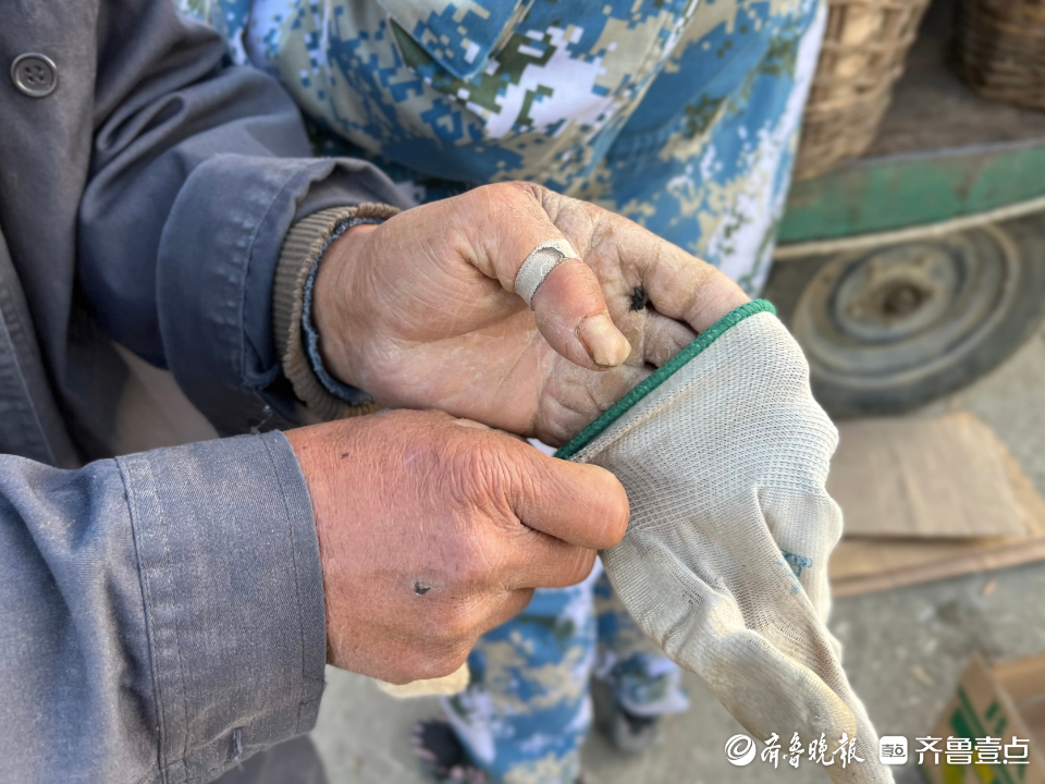 图集|茧越多，果越红