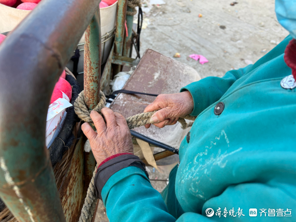 图集|茧越多，果越红