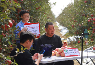 烟台老丁把苹果卖出高价的秘诀