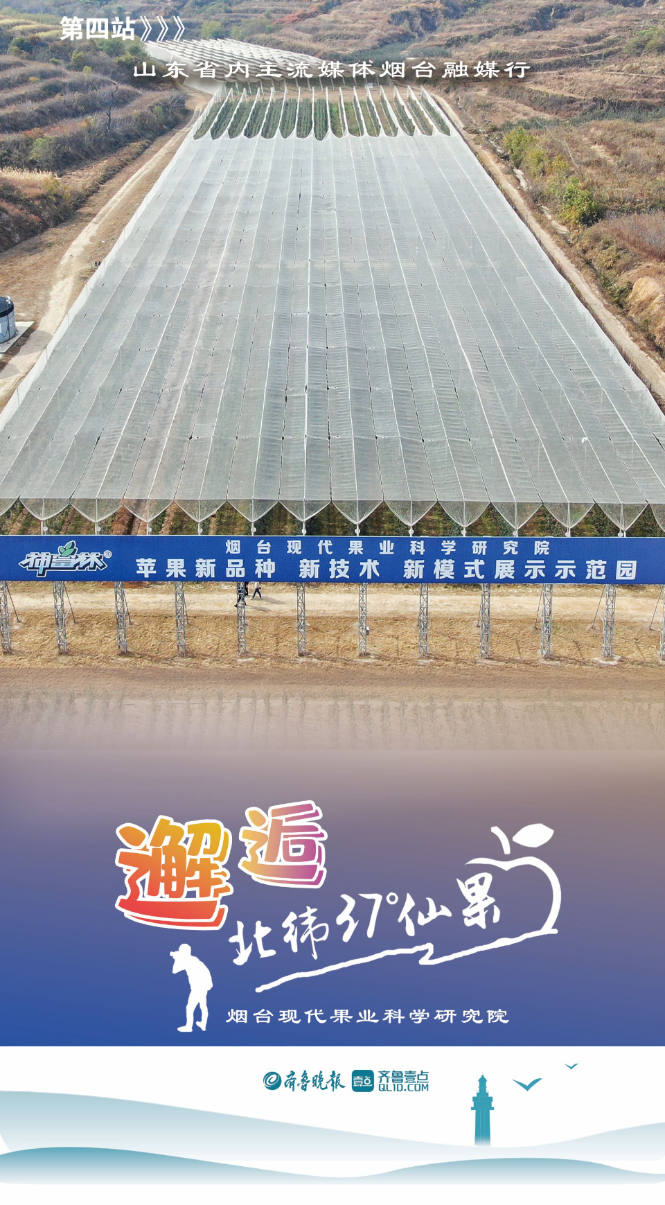 长图壹站|邂逅北纬37°仙果④ 科技范的烟台红苹果