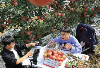 长图壹站|邂逅北纬37°仙果⑤“触网”的烟台鲜果