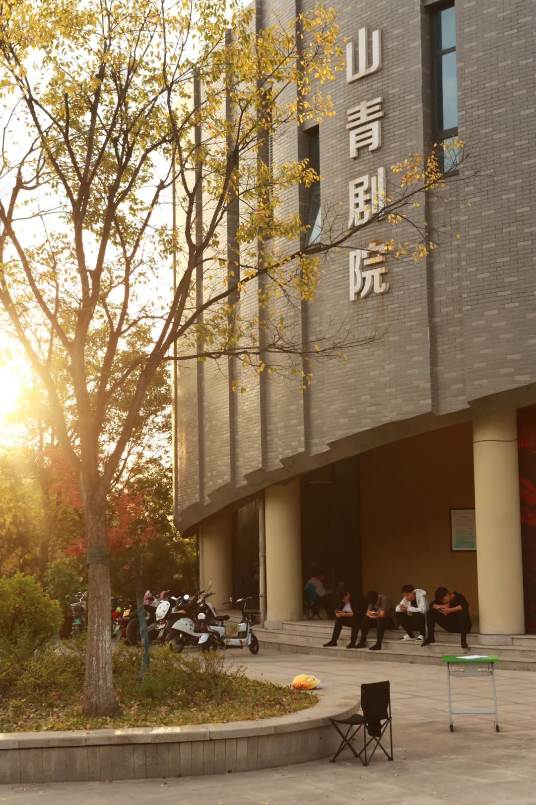 山东青年政治学院的秋:橙黄橘绿,一年好景-齐鲁晚报·齐鲁壹点