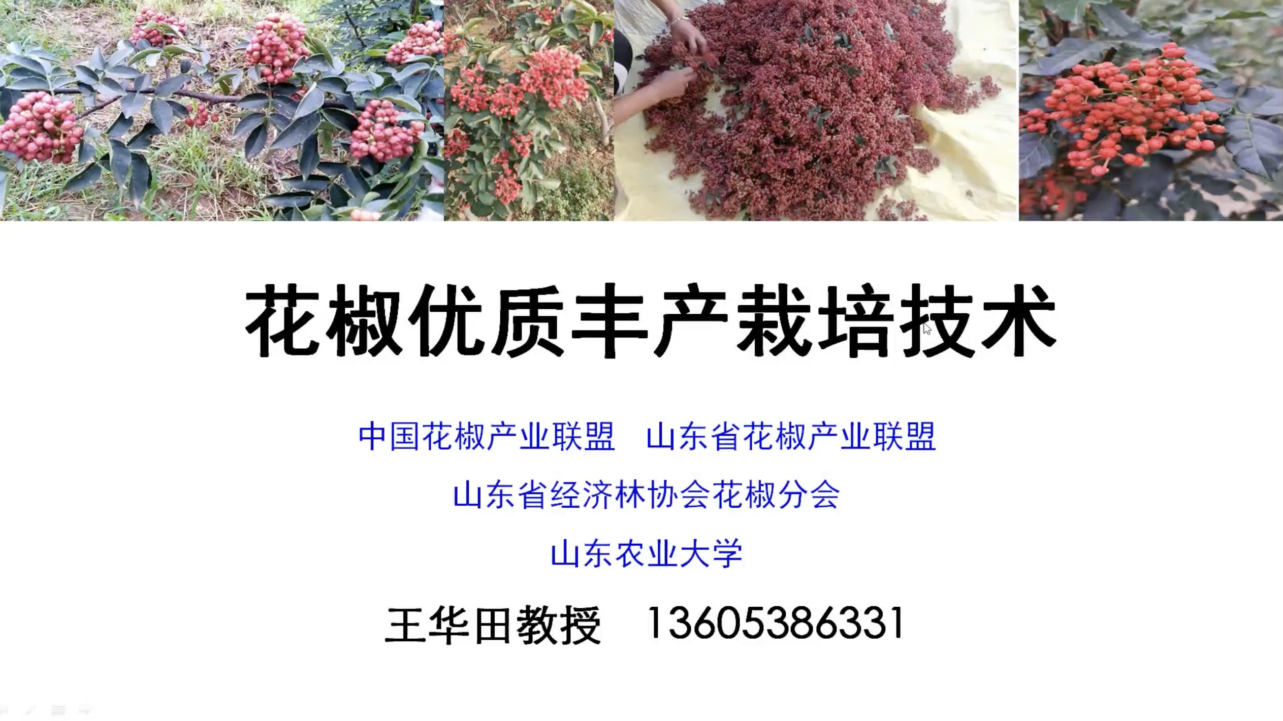 山东省林业科技培训班——秋冬季林业保护发展云讲堂第六讲