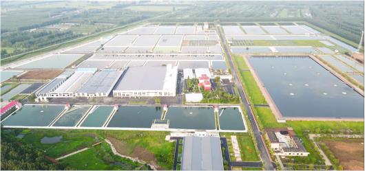 这里是济宁·媒观 | 微山湖上千帆竞，干事创业热潮涌