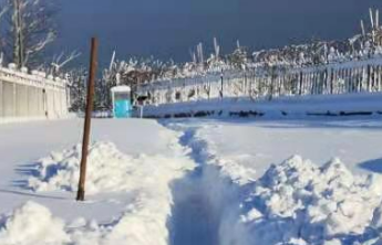 遭遇强寒潮天气，山东下发通知做好防范应对