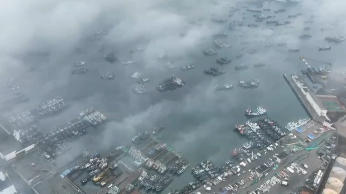 果然视频| 强寒潮和大风降雪来了，荣成千艘渔船归港