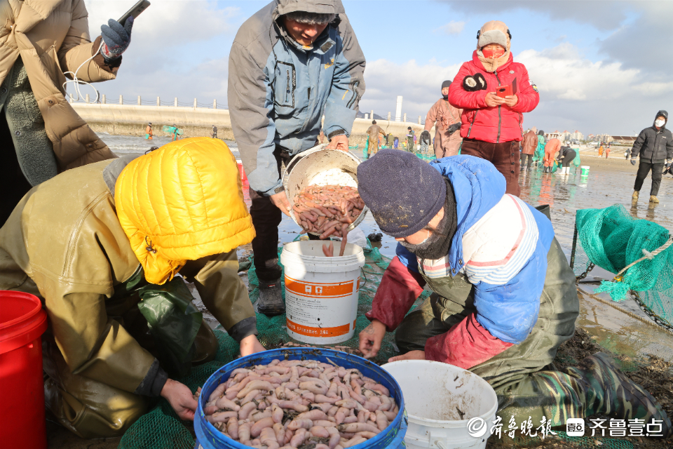 图集海肠大爆发烟台人又到海边扫货了