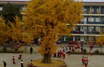 我们的2022｜周中亮：数学课上，我与二年级学生的第一次见面