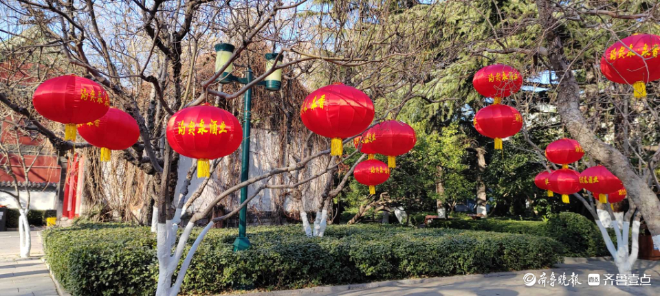 好景山东|红红火火！济南趵突泉大红灯笼高高挂，节日氛围感满满