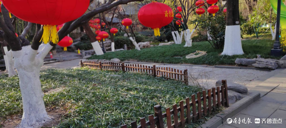 好景山东|红红火火！济南趵突泉大红灯笼高高挂，节日氛围感满满